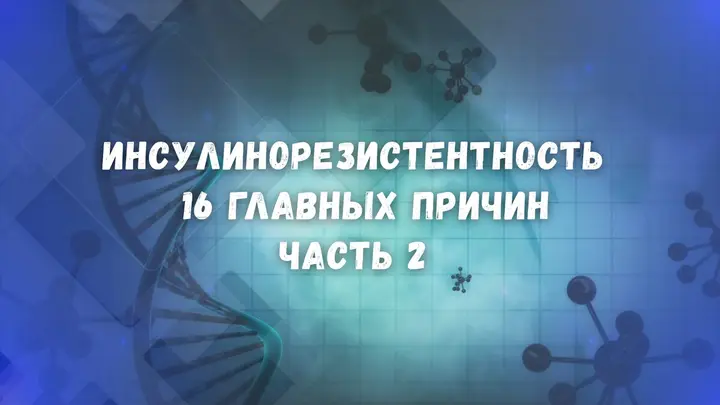 Инсулинорезистентность: 16 причин, которые влияют на наш метаболизм. Часть 2