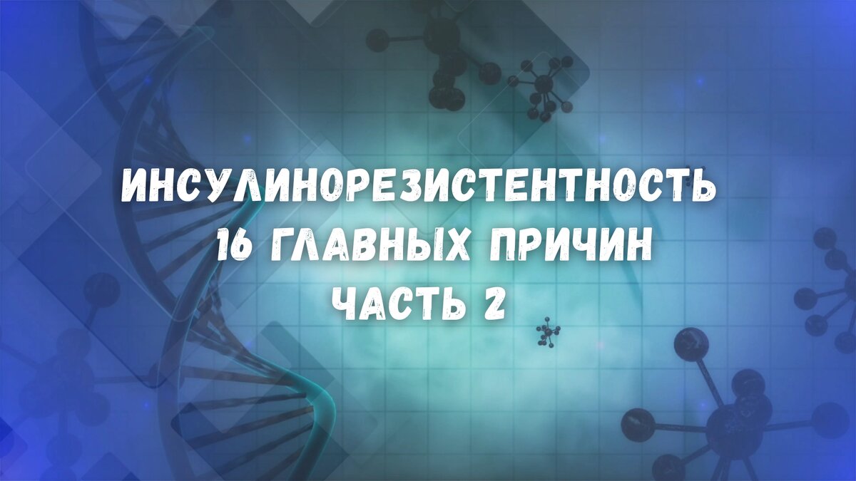 Инсулинорезистентность: 16 причин, которые влияют на наш метаболизм. Часть 2
