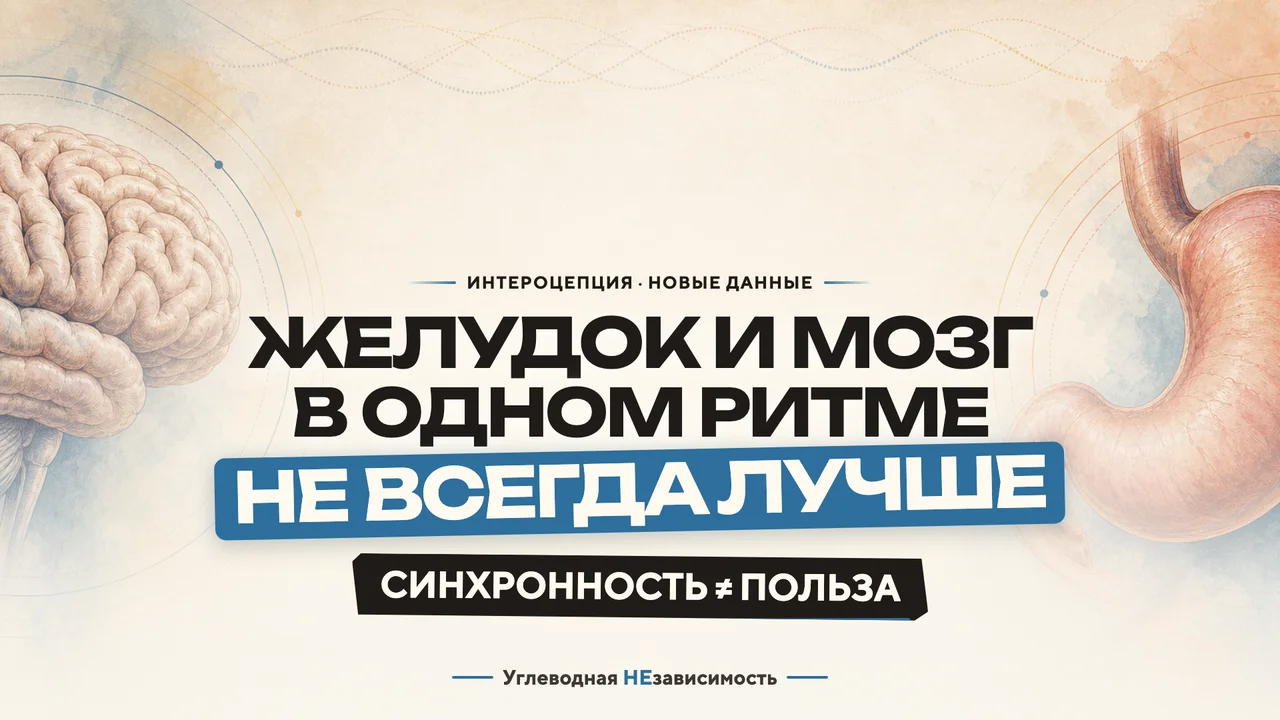 У желудка есть 20-секундный ритм. Почему его более сильная связь с сетями внимания совпала с худшим самочувствием