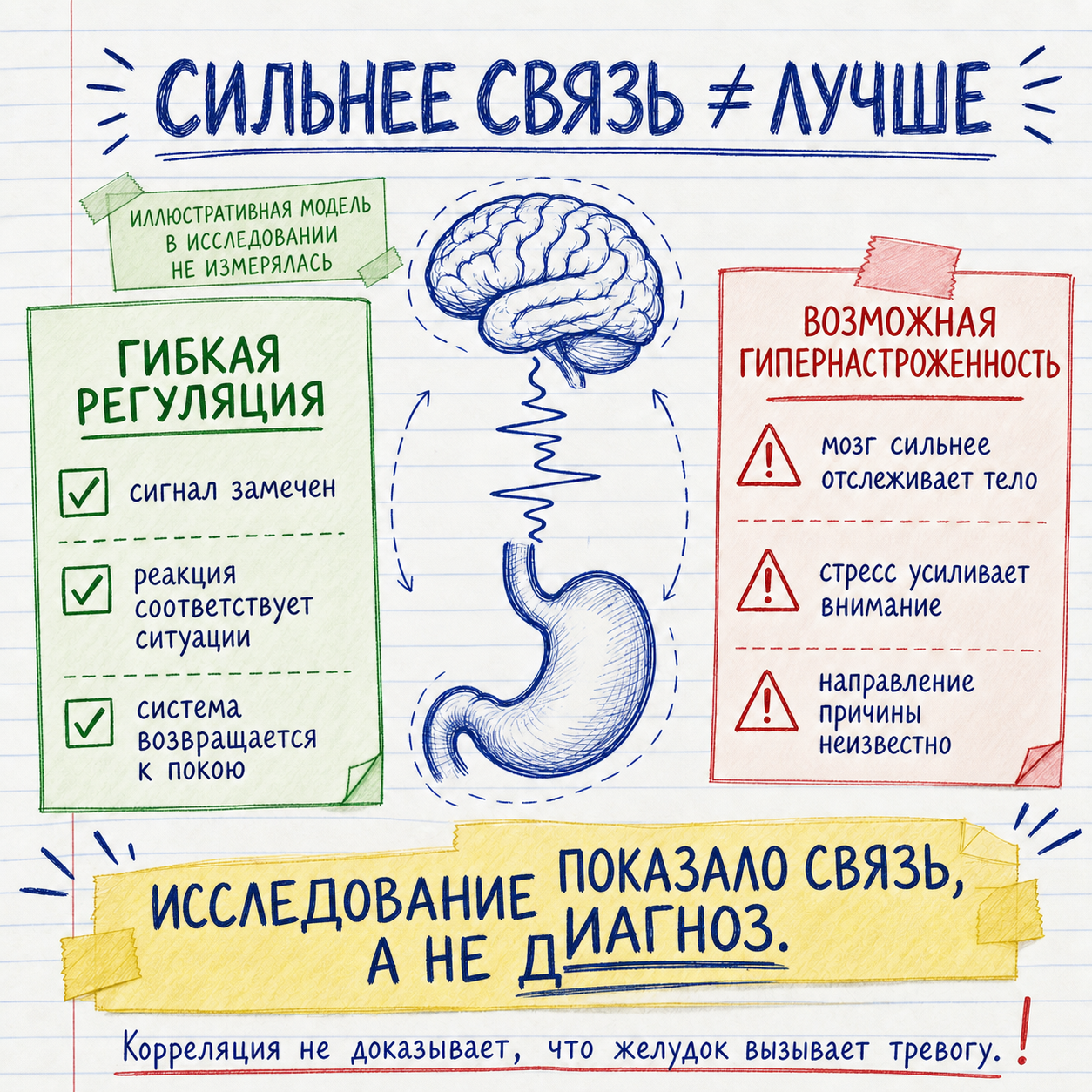 Почему более сильная связь желудка и мозга не обязательно означает лучшую регуляцию