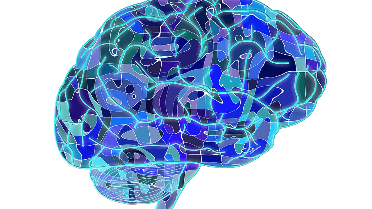 Исцеление травмы головы с помощью еды, пищевых добавок и образа жизни у детей (аутизм, ЧМТ, посттравматическое стрессовое расстройство)