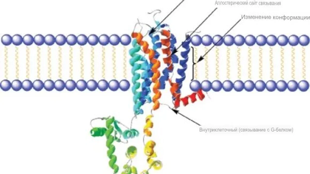 Как действуют кетоны?