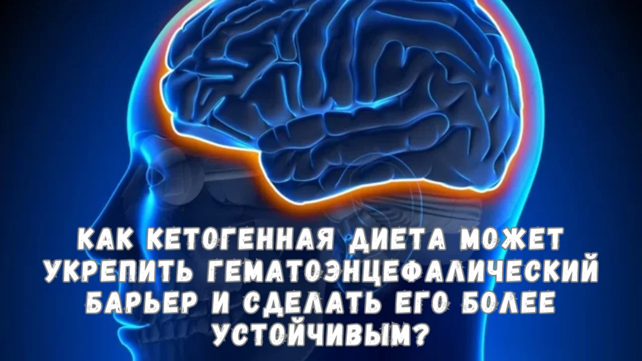 Как кетогенная диета может укрепить гематоэнцефалический барьер и сделать его более устойчивым?