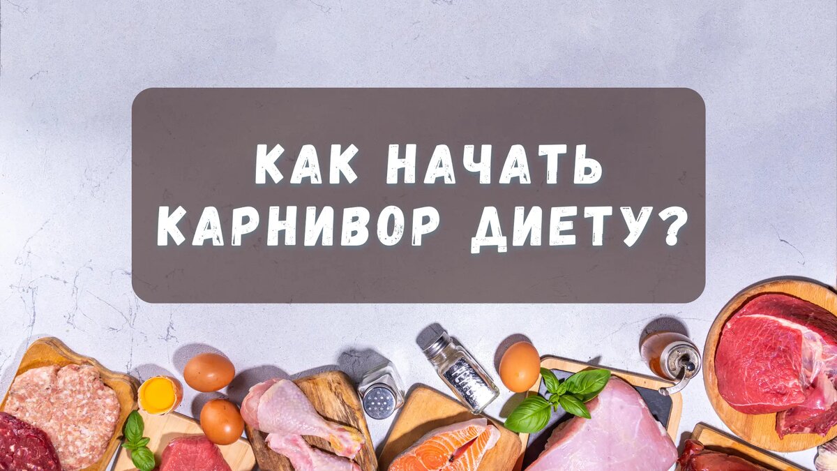 Как начать карнивор диету?