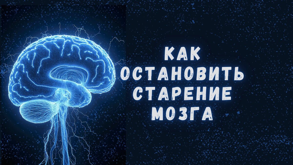 Как остановить старение мозга: научный подход к профилактике деменции