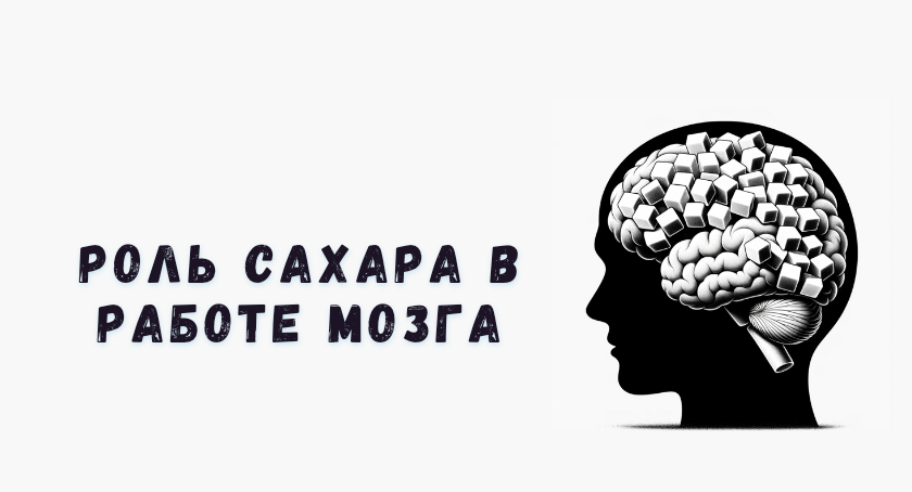 Как сахар влияет на мозг?