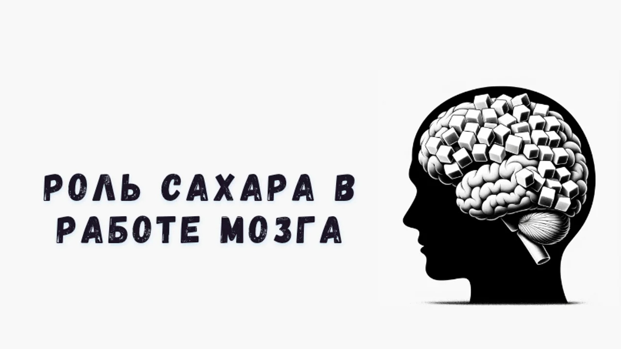 Как сахар влияет на мозг?