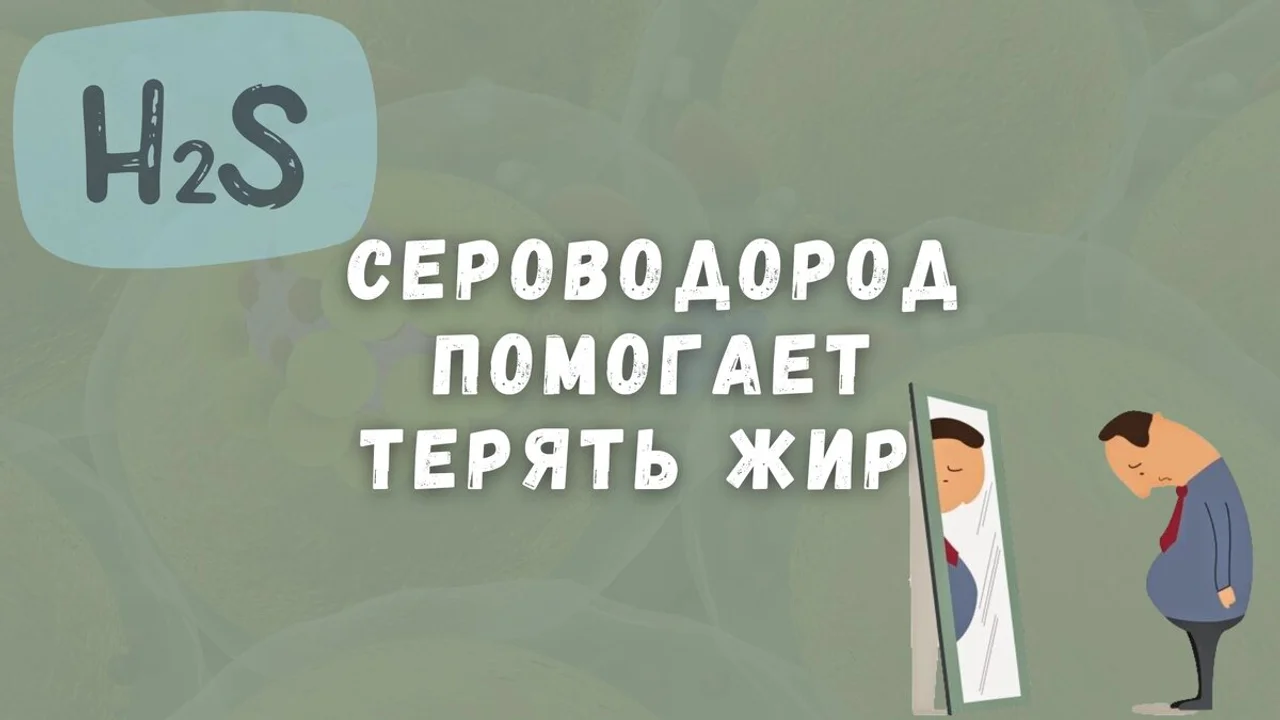 Как сероводород помогает терять жир и сохранять здоровье