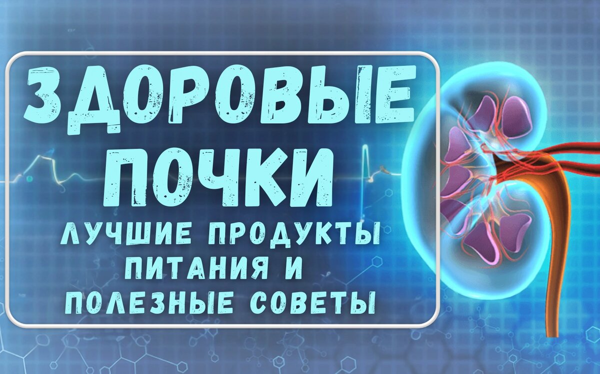 Как укрепить здоровье почек: натуральные методы и советы
