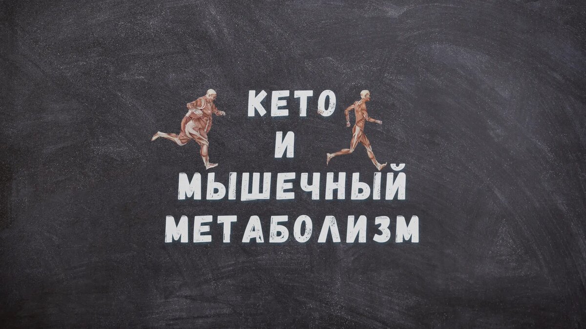 Кетогенная диета и мышечный метаболизм