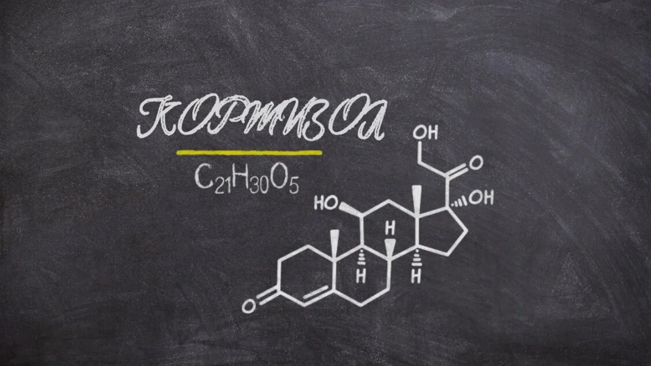 Кортизол: роль в стрессе, воспалении и увеличении веса