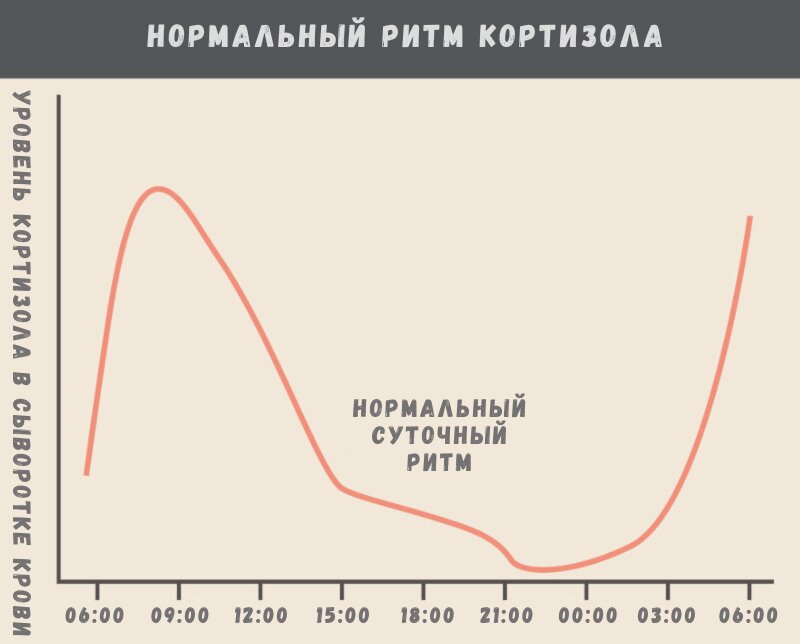 Нормальный ритм кортизола 