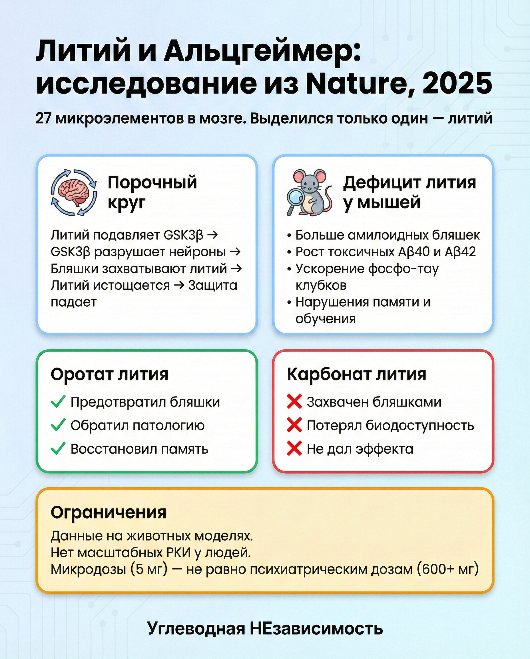 Инфографика: литий и Альцгеймер — порочный круг, дефицит, оротат vs карбонат