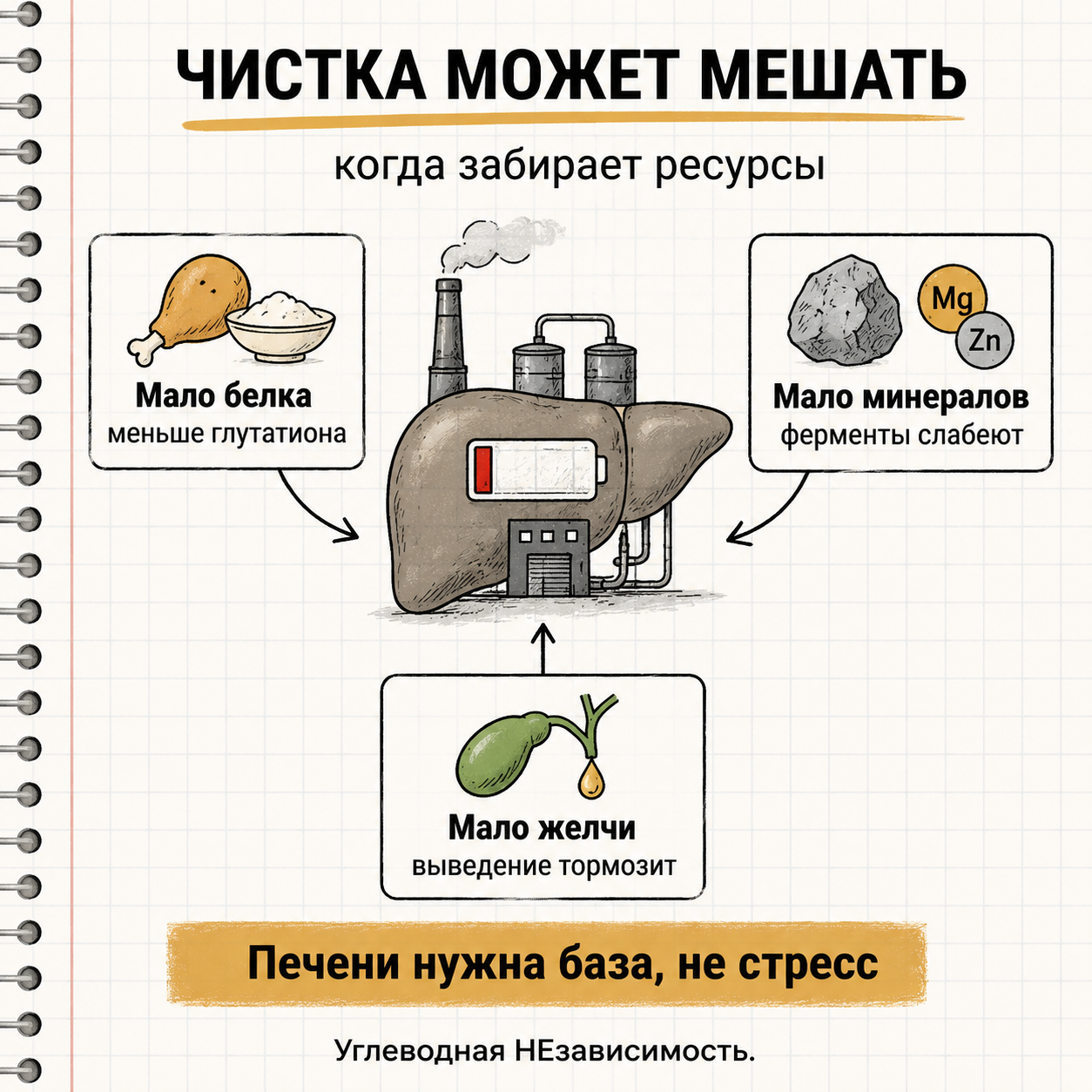 Чистка может мешать, когда забирает ресурсы печени