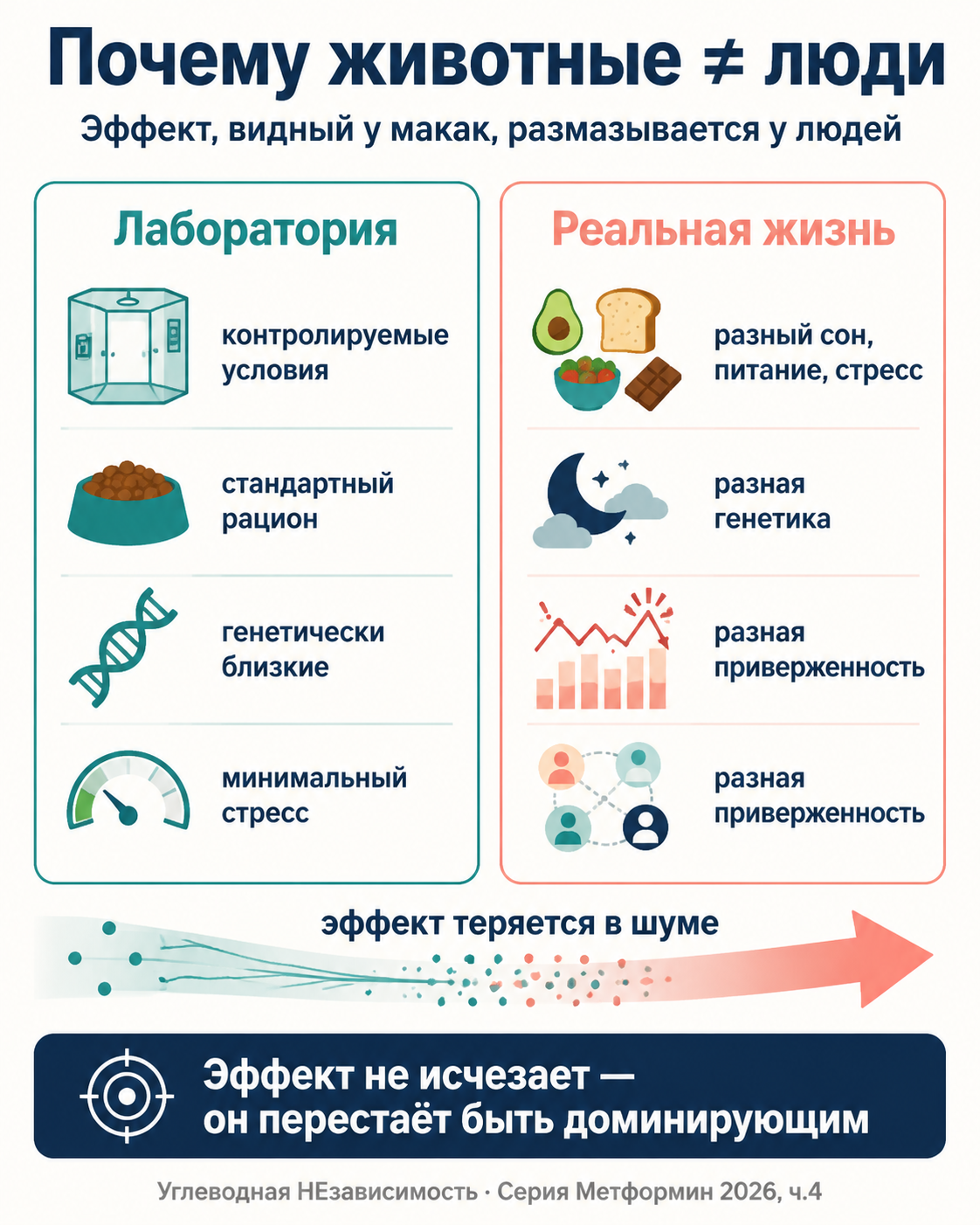 Почему данные на животных не равны данным на людях