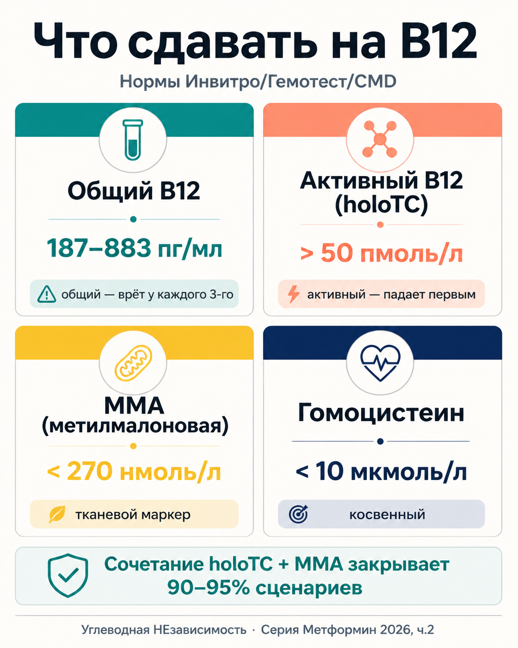 Какие анализы сдавать на B12 на фоне метформина: общий B12, активный B12, MMA и гомоцистеин