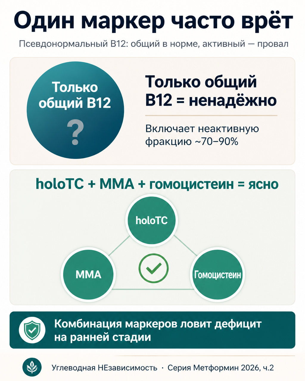 Почему одного маркера часто недостаточно: сочетание holoTC, MMA и гомоцистеина раньше ловит дефицит B12