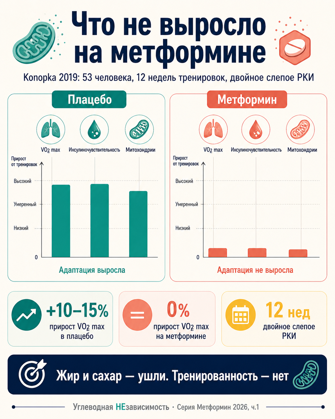 Что не выросло на метформине: Konopka 2019 показал прирост 10–15% VO₂ max в плацебо и 0% на метформине, при сохранении эффекта на жир и сахар