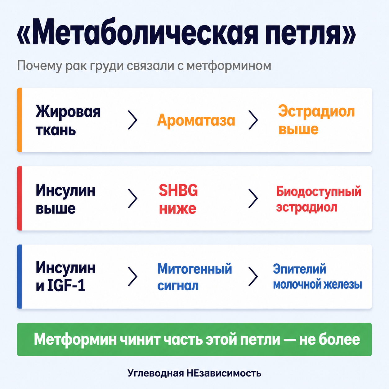 Метаболическая петля при инсулинорезистентности — три механизма, по которым риск рака груди связывают с фоном, а не с метформином