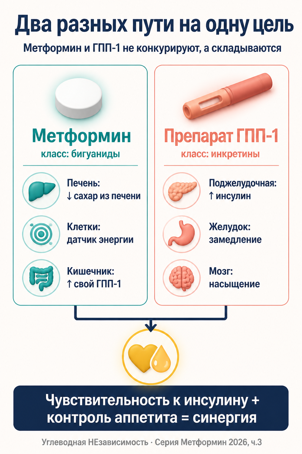 Метформин и препарат ГПП-1 работают через разные пути: печень, клетки, кишечник против поджелудочной, желудка и мозга