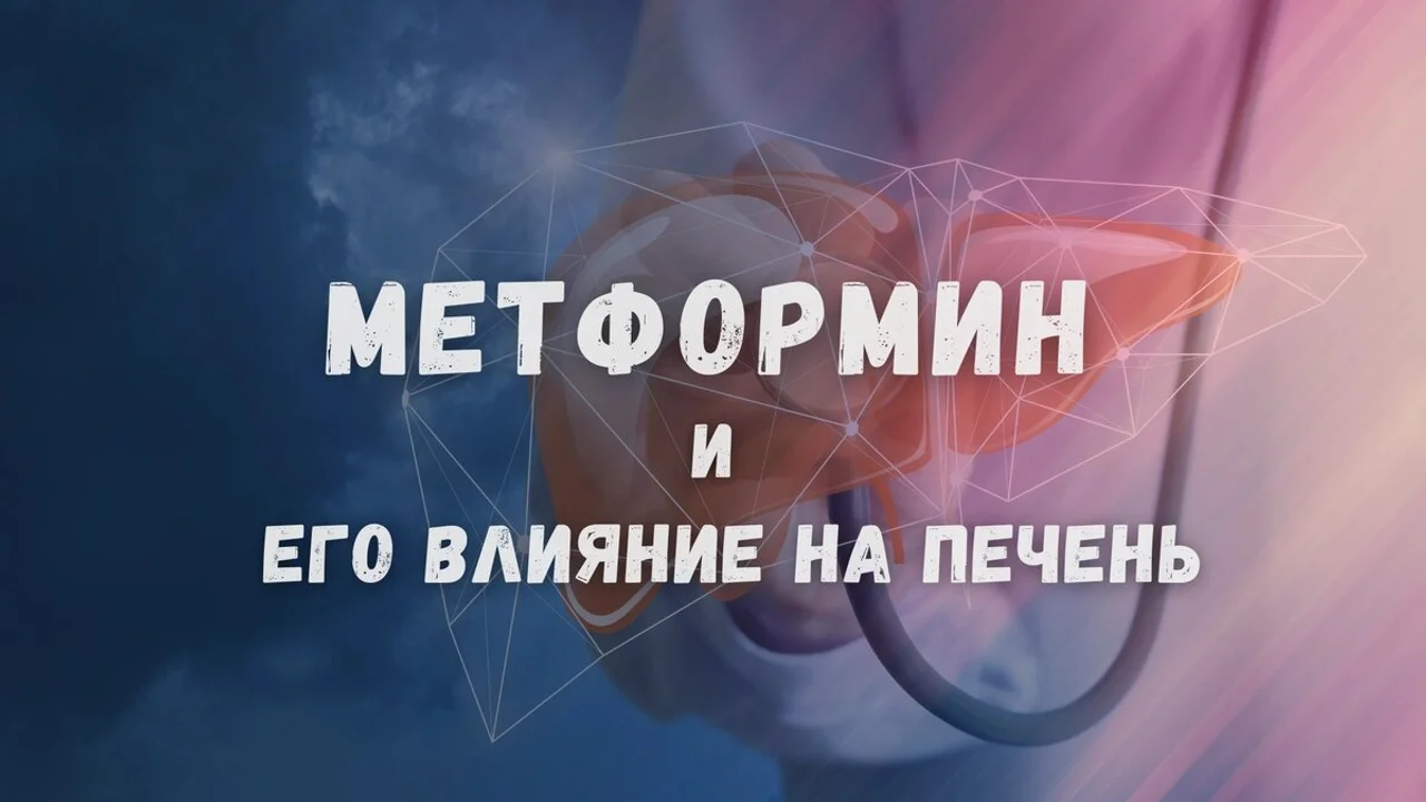 Метформин и его влияние на печень