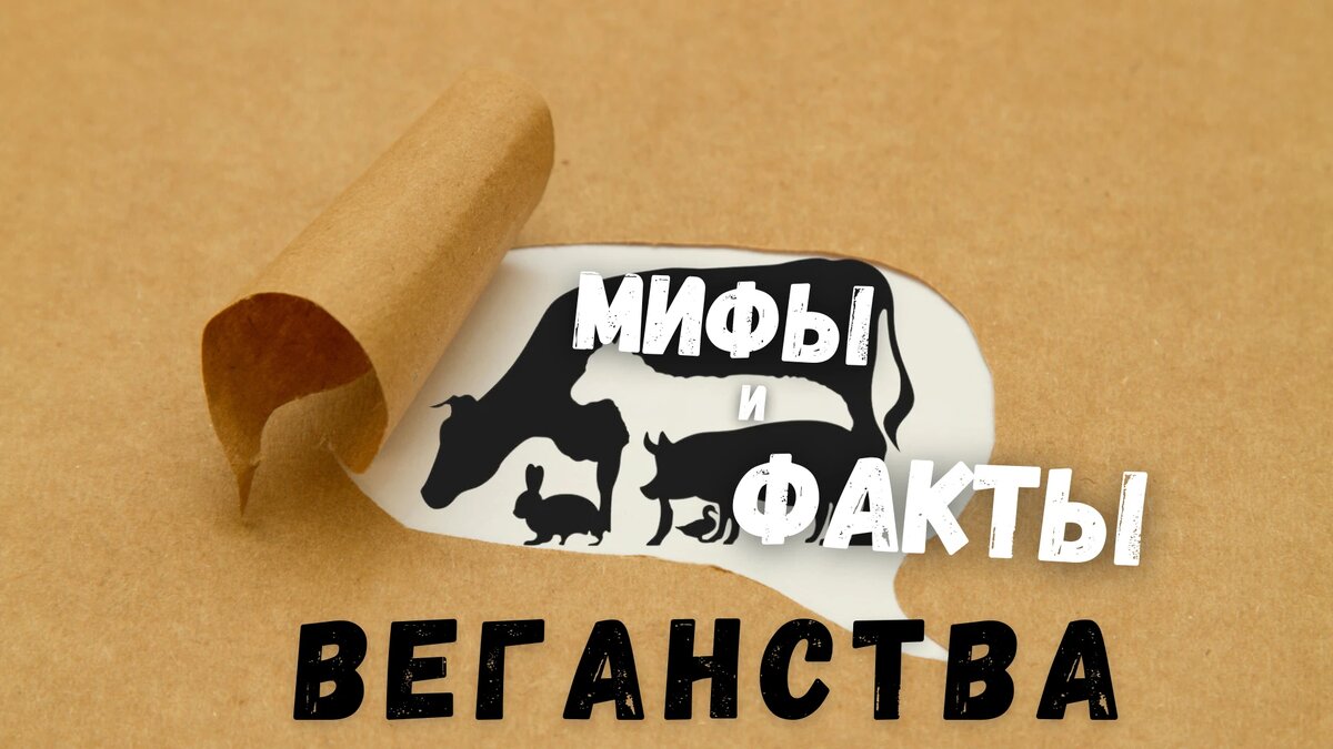 Мифы и факты веганства