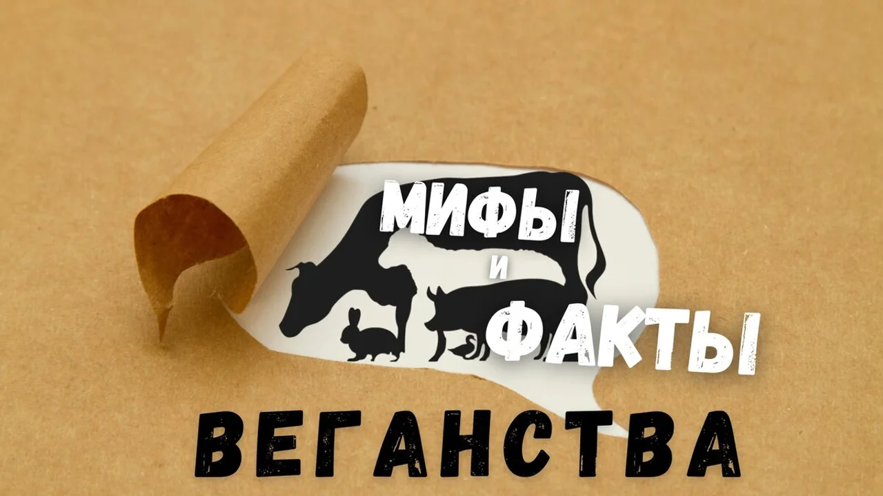 Мифы и факты веганства