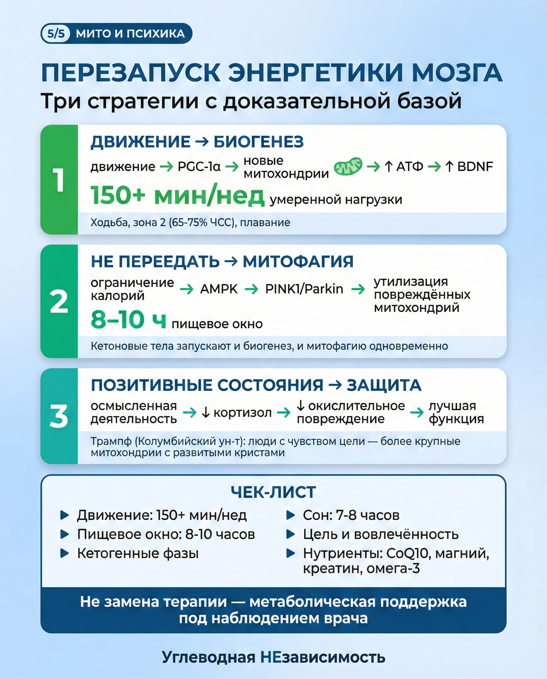 Как перезапустить энергетику мозга