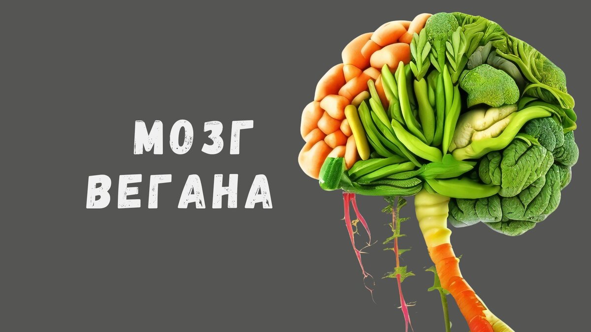 Мозг вегана
