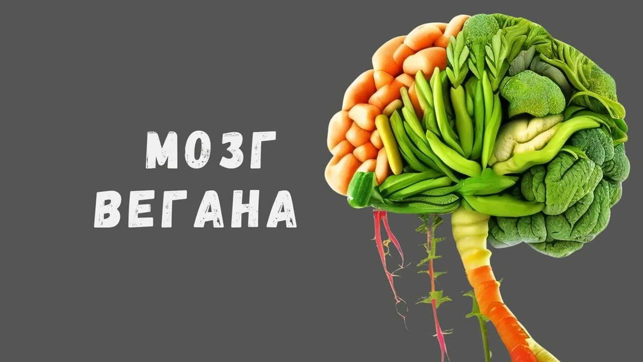 Мозг вегана