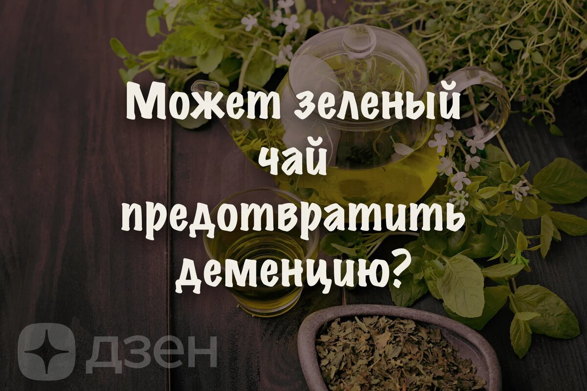 Может зеленый чай предотвратить деменцию?