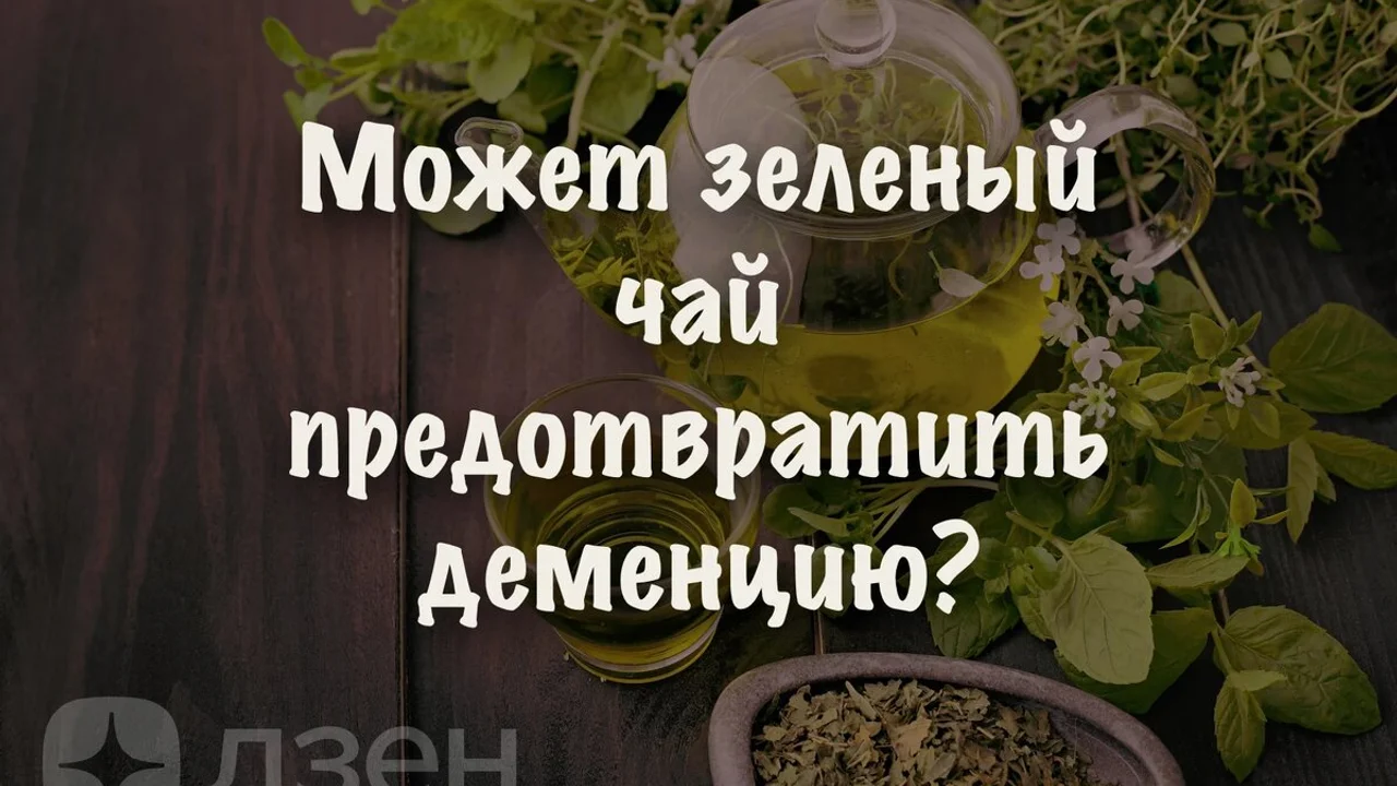 Может зеленый чай предотвратить деменцию?