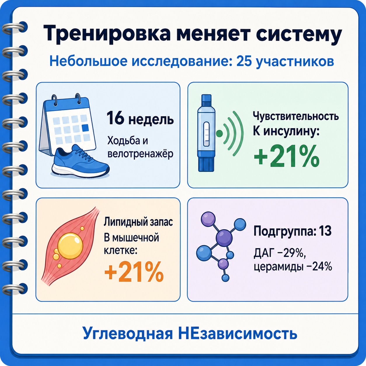 Исследование 2008 года: после 16 недель тренировок чувствительность к инсулину и внутриклеточный липидный запас выросли на 21%