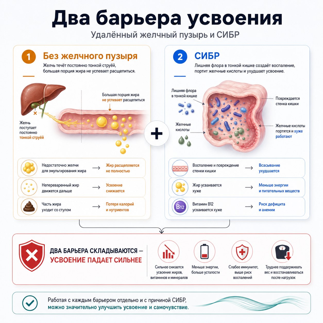 Инфографика 2