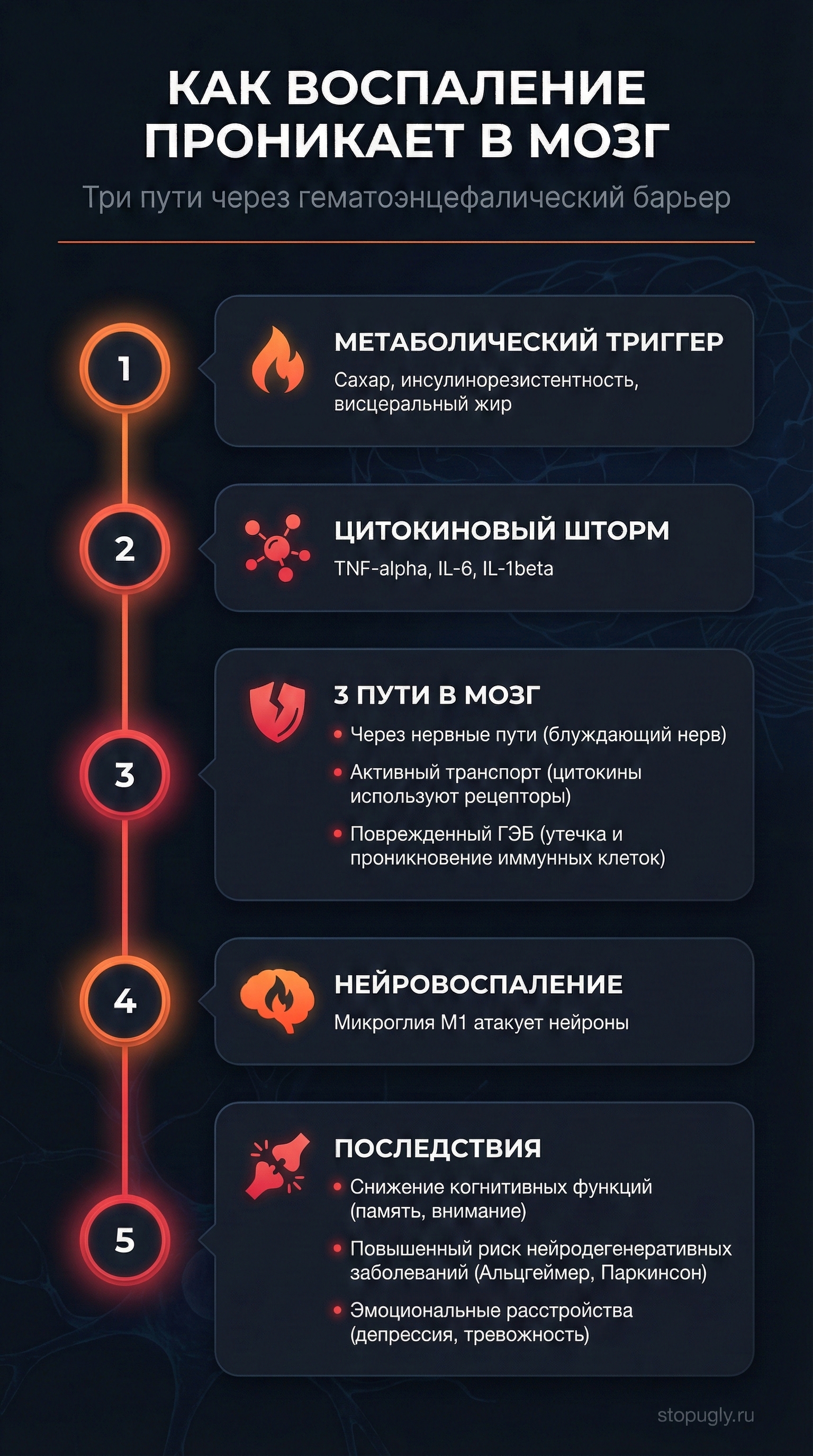 Как воспаление проникает в мозг