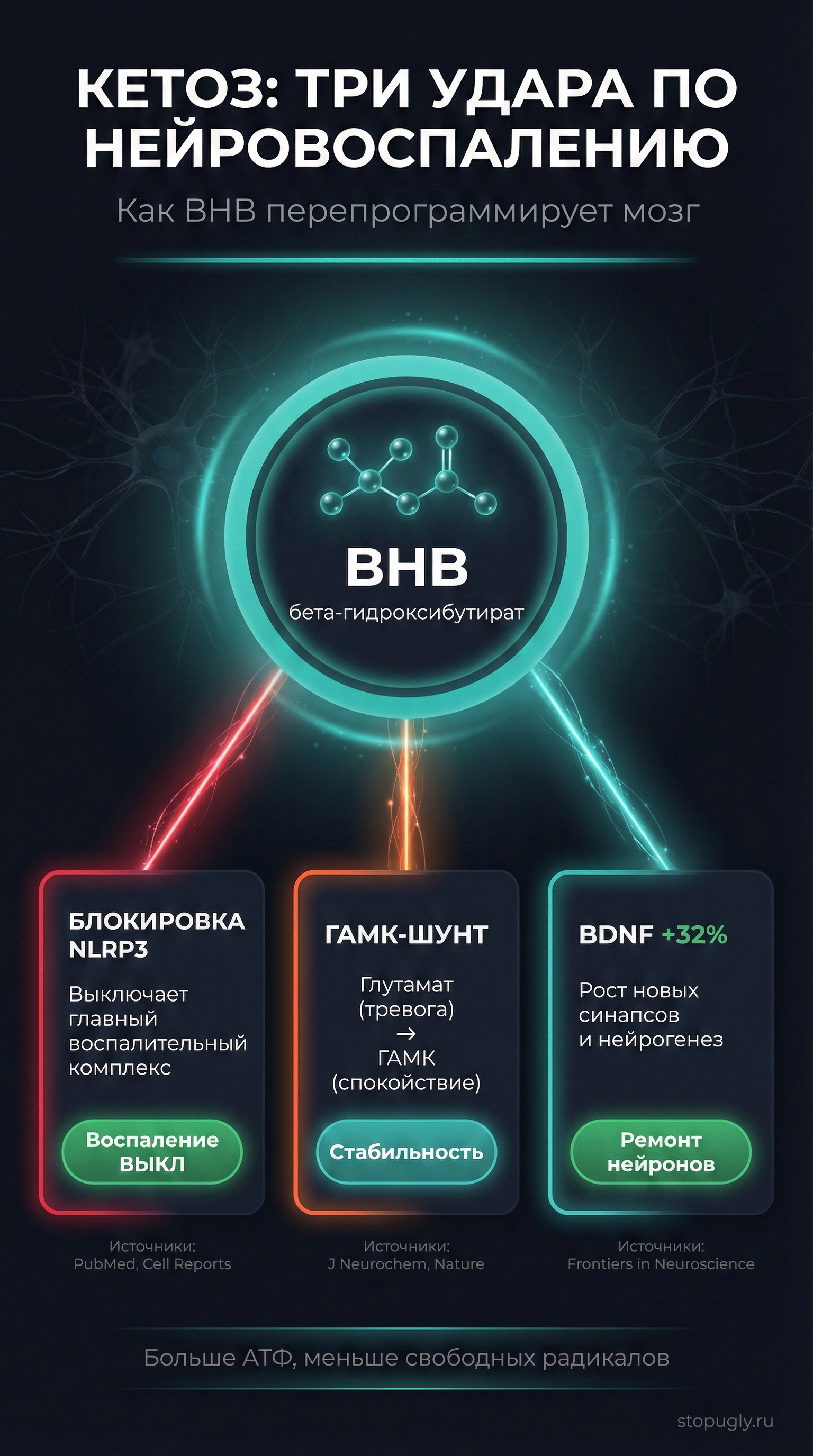Кетоз: три удара по нейровоспалению