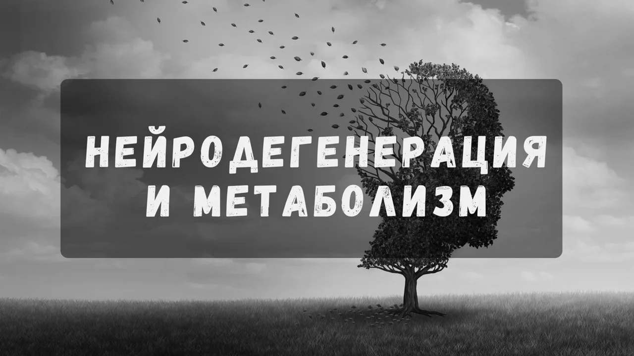 Нейродегенерация и метаболизм: От симптомов к первопричинам