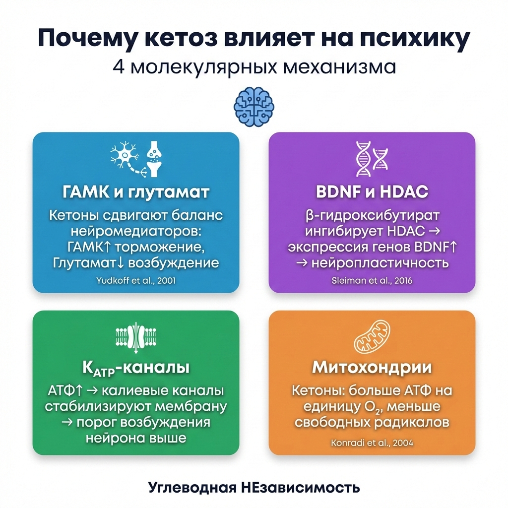 Почему кетоз влияет на психику: 4 молекулярных механизма