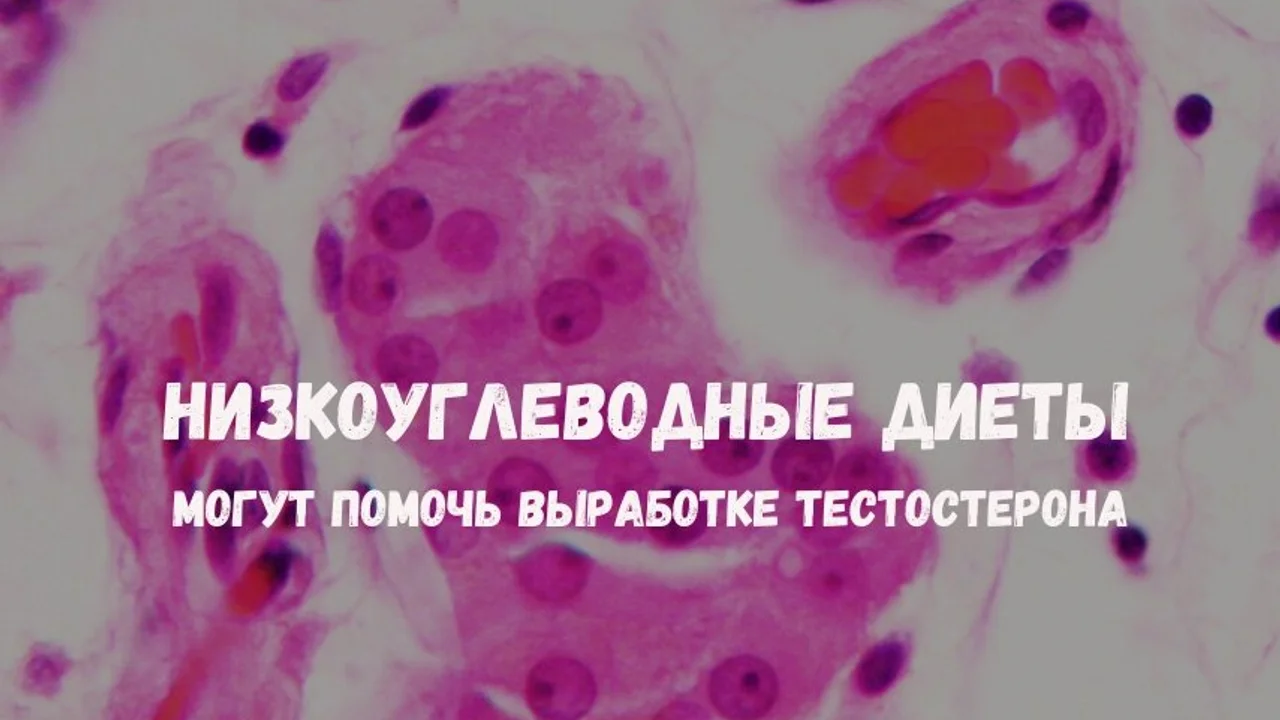 Низкоуглеводные диеты могут помочь выработке тестостерона