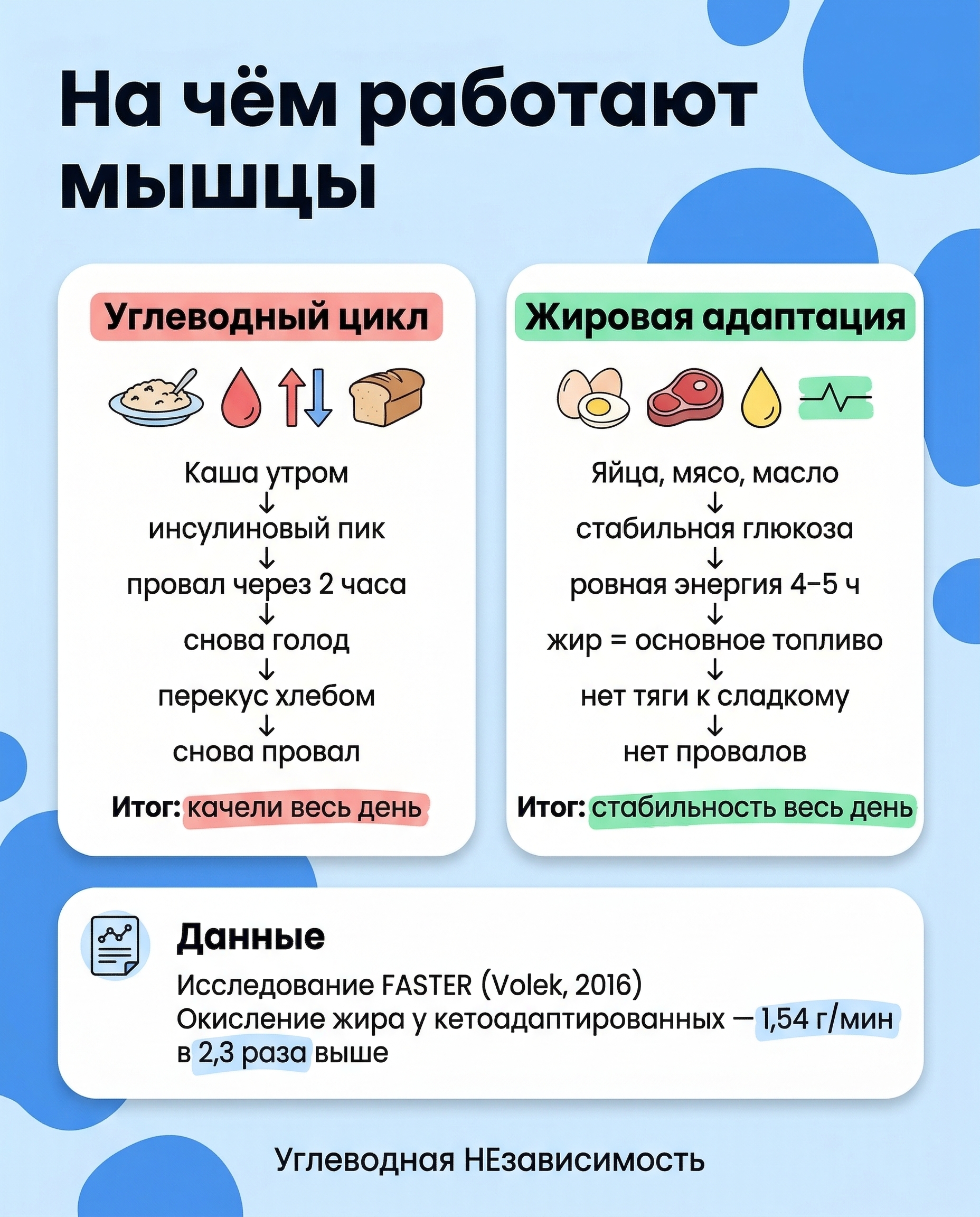 На чём работают мышцы