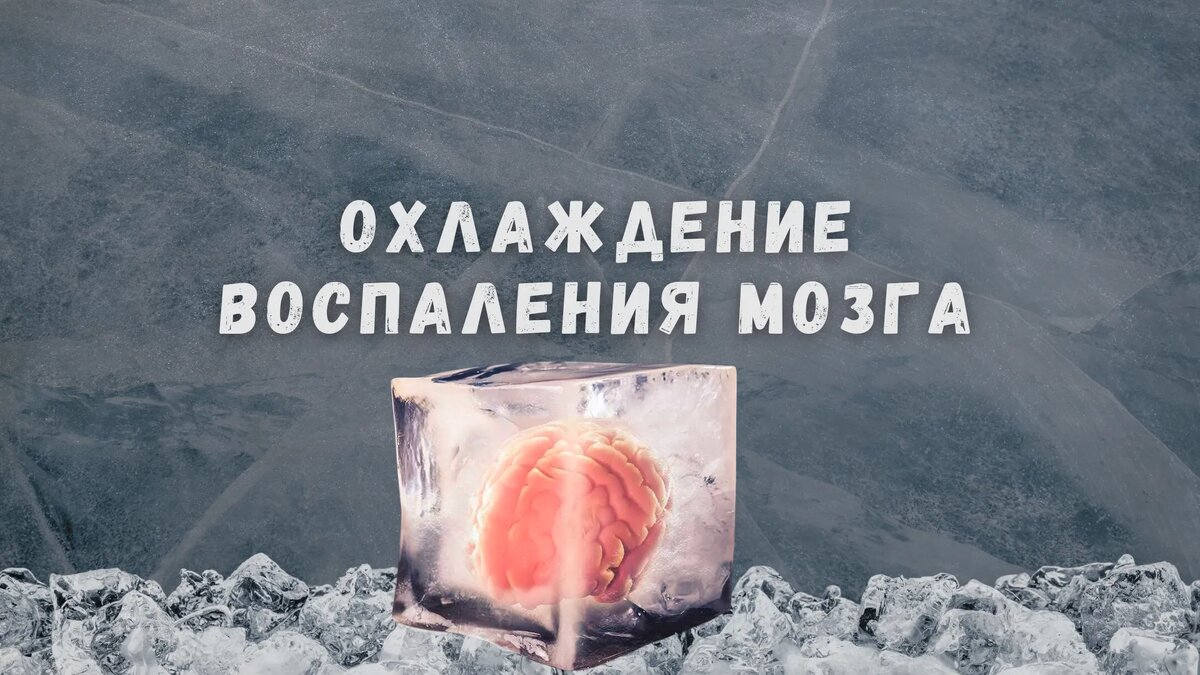 Охлаждение воспаления мозга естественным образом с помощью продуктов питания
