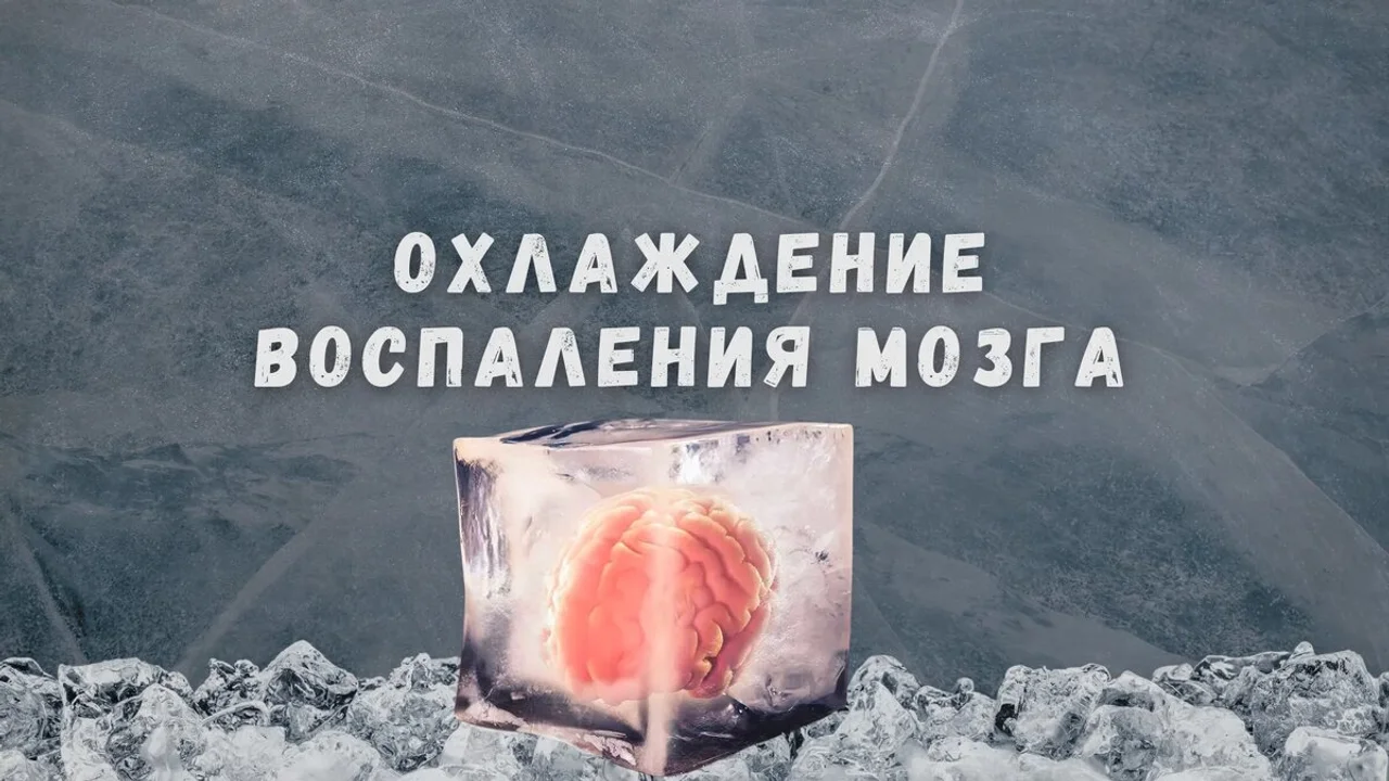 Охлаждение воспаления мозга естественным образом с помощью продуктов питания