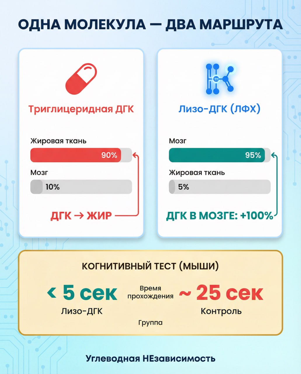 Одна молекула — два маршрута