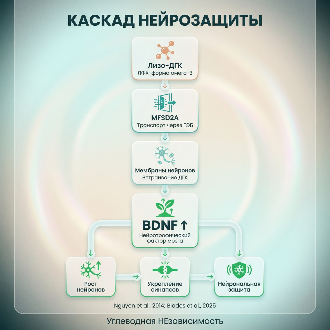Каскад нейрозащиты