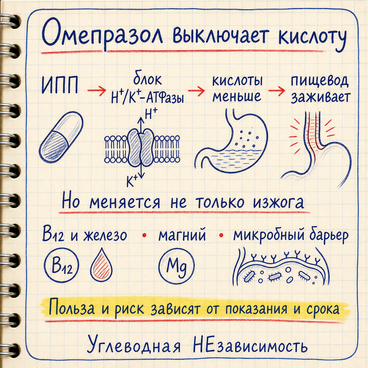 Как омепразол подавляет кислоту и почему меняется не только изжога
