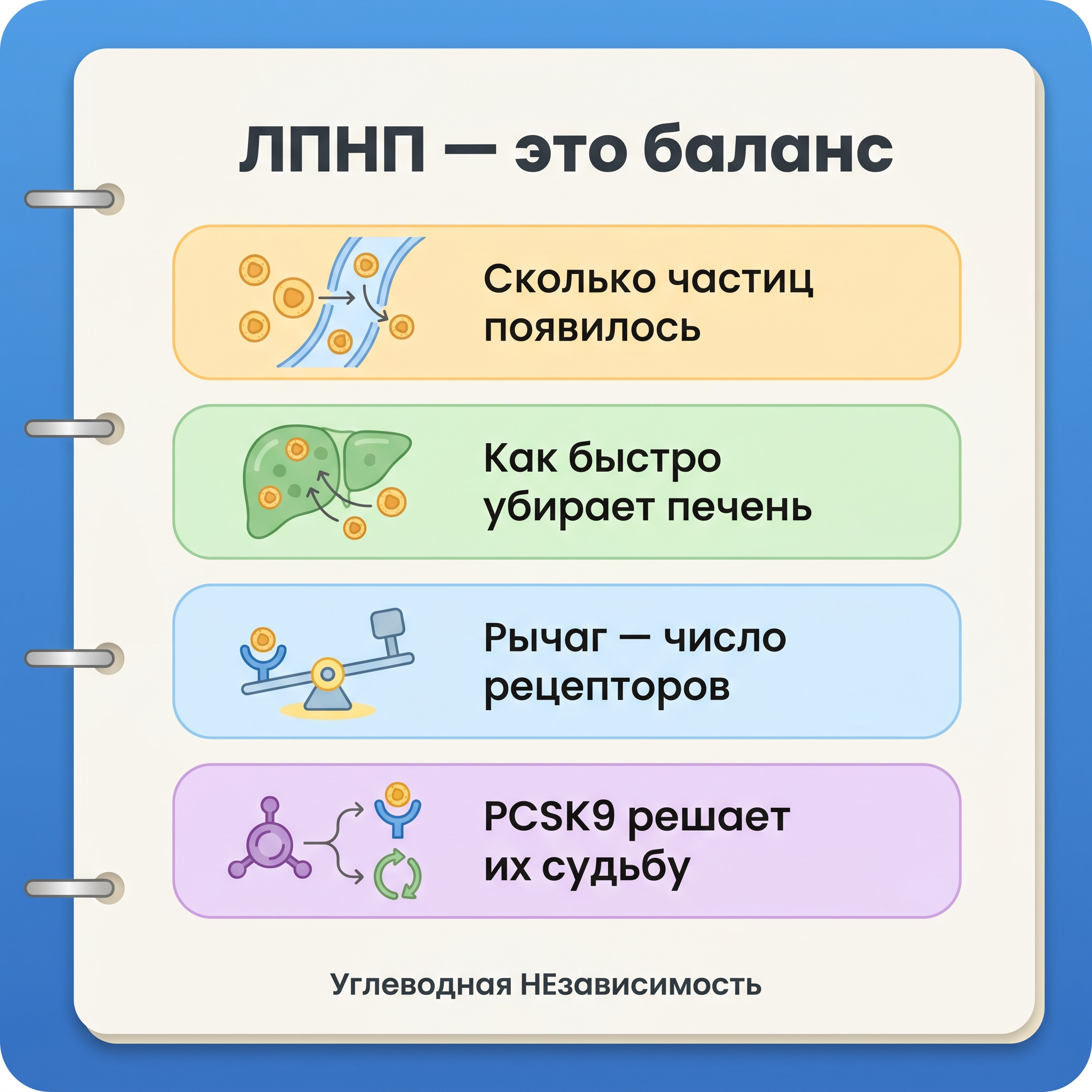 Инфографика: PCSK9: почему ЛПНП зависит от числа «ловушек» в печени