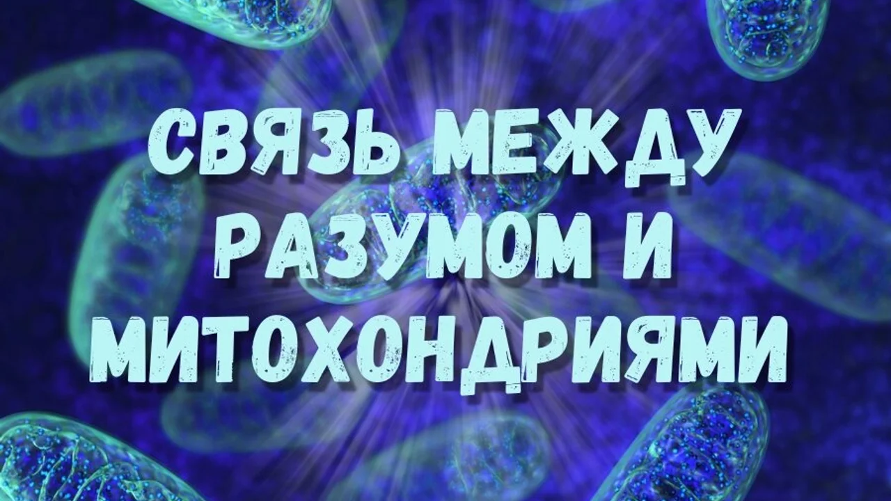 Перенос энергии и связь между разумом и митохондриями