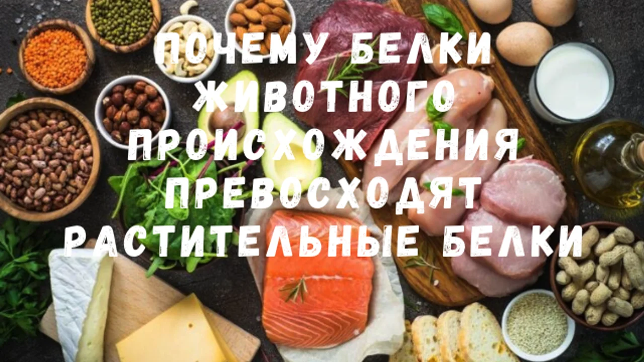 Почему белки животного происхождения превосходят растительные белки