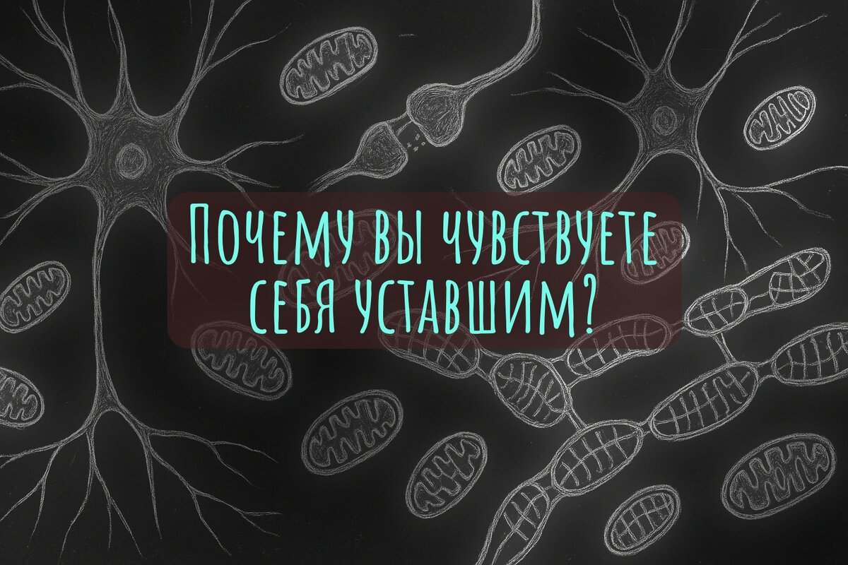 Почему вы чувствуете себя уставшими?