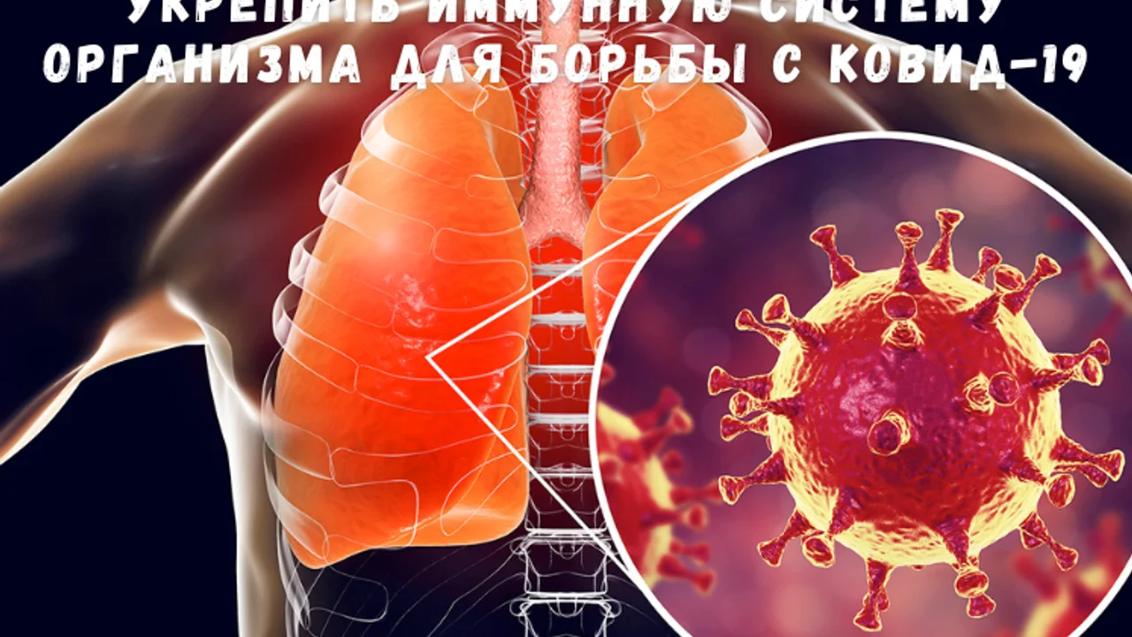 Правильное питание может укрепить иммунную систему организма для борьбы с КОВИД-19